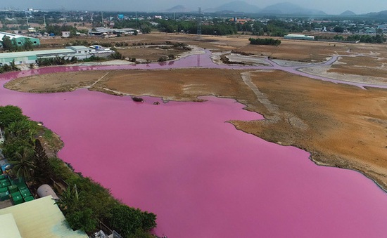 Kết luận nguyên nhân khiến nước trong đầm chứa ở Bà Rịa - Vũng Tàu đổi màu hồng tím