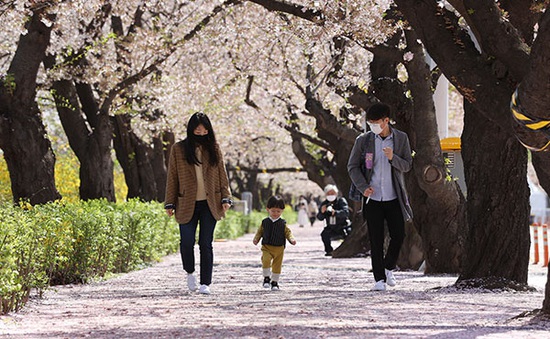 Hàn Quốc ghi nhận mức nhiệt trung bình trong tháng 3 cao kỷ lục