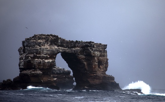 Vòm đá tự nhiên Darwin's Arch nổi tiếng đã sụp đổ