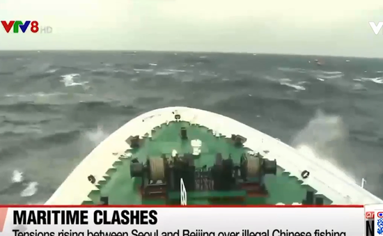 Hàn Quốc cáo buộc hàng trăm tàu Trung Quốc đánh bắt trái phép