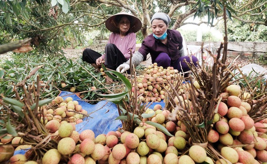 Đề nghị Trung Quốc tạo điều kiện tiêu thụ nông sản Việt Nam
