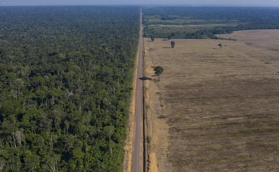 Brazil điều động binh sĩ quân đội chống phá rừng Amazon