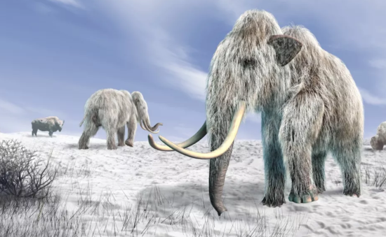5 sinh vật thời tiền sử được phát hiện nguyên vẹn trong băng
