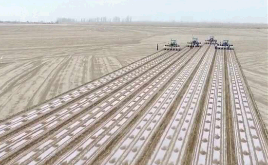 Nông nghiệp công nghệ cao, nông nghiệp thông minh - xu thế tại nhiều địa phương ở Trung Quốc