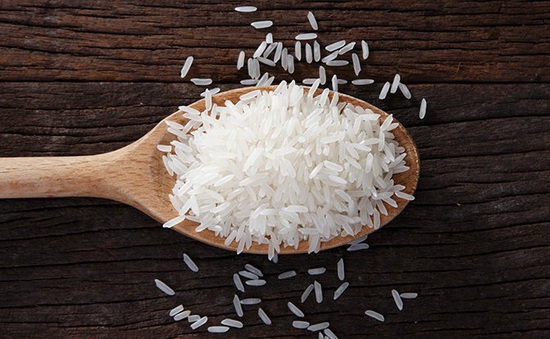 Thử nghiệm giai đoạn 1 trên người vaccine phòng bệnh tả “ăn được” từ gạo