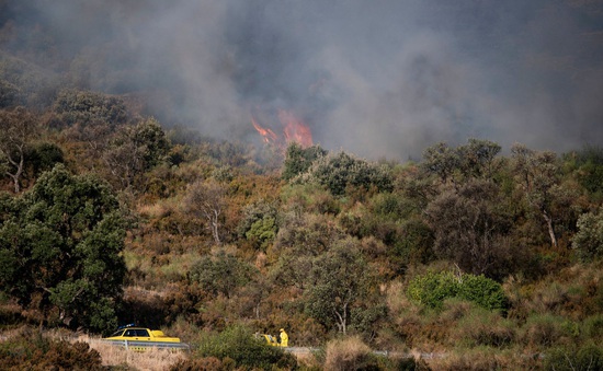 Tây Ban Nha: Cháy rừng dữ dội tại vườn quốc gia Cap de Creus, hàng trăm người phải sơ tán