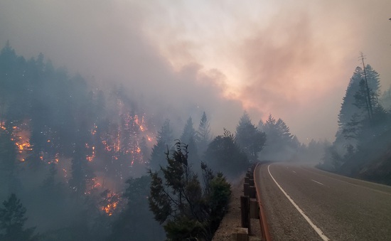 Cháy rừng bùng phát và lan rộng tại nhiều bang miền Tây nước Mỹ