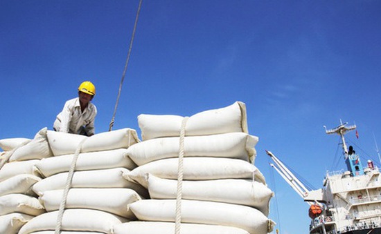 Thủ tướng yêu cầu nghiên cứu việc Ấn Độ cấm xuất khẩu gạo