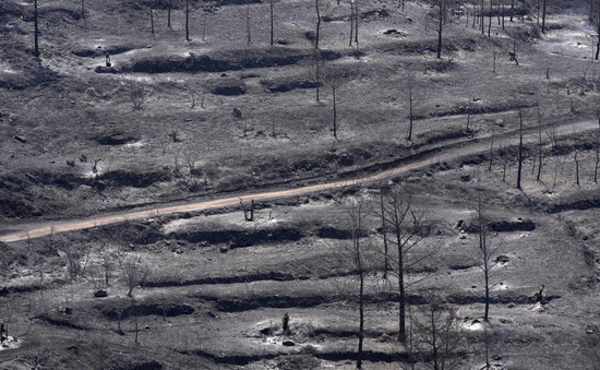 Cháy rừng nghiêm trọng nhất từ trước tới nay ở CH Cyprus, 4 người thiệt mạng