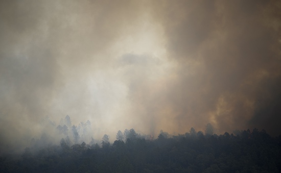 Gió mạnh đe dọa thổi bùng đám cháy rừng tại Pháp