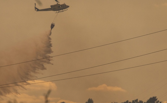 Cháy rừng hoành hành ở Tây Ban Nha khiến hơn 900 người phải sơ tán, 1 người thiệt mạng