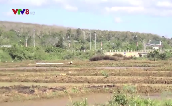 Đắk Nông: Công trình thủy lợi gây khó sản xuất cho người dân