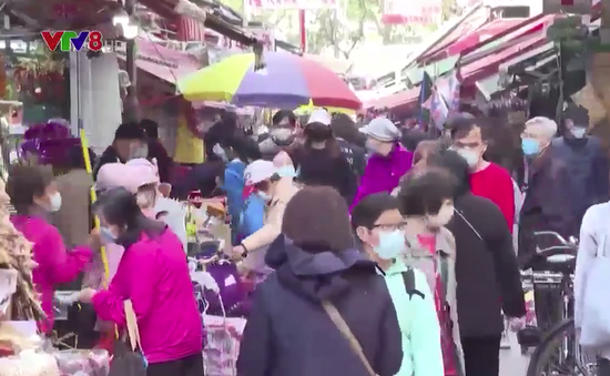 Chợ hoa Hong Kong nhộn nhịp trước tết Nguyên Đán
