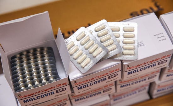 Bộ Y tế: Xử lý nghiêm các vi phạm về mua bán thuốc kháng virus Molnupiravir
