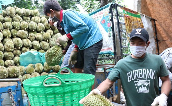 Nhiều trái cây Việt được cấp “visa” vào thị trường lớn