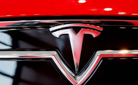 Tesla cân nhắc xuất khẩu xe điện từ Thượng Hải sang Mỹ, Canada