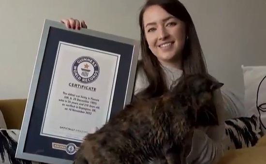 Kỷ lục Guinness về con mèo cao tuổi nhất thế giới