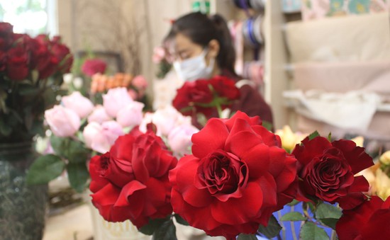 Giá hoa hồng Đà Lạt cho ngày Valentine tăng gấp từ 2 - 3 lần