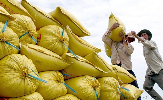 Xuất khẩu gạo tăng mạnh tháng đầu năm
