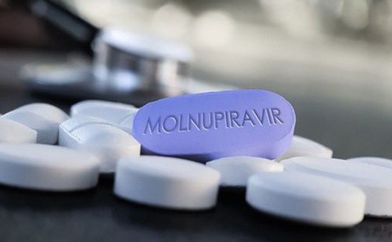 Thuốc kháng virus Molnupiravir có gây yếu sinh lý?