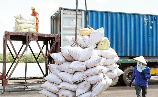 Giá gạo xuất khẩu cao nhất trong hơn 3 tháng