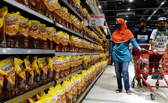 Indonesia cấm xuất khẩu dầu ăn và nguyên liệu thô