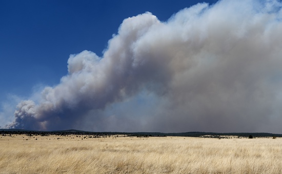 Mỹ: Cháy rừng kỷ lục bùng phát ngoài tầm kiểm soát ở bang New Mexico