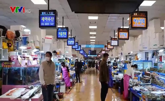 "Cơn sốt" tiêu thụ cua Nga tại Hàn Quốc