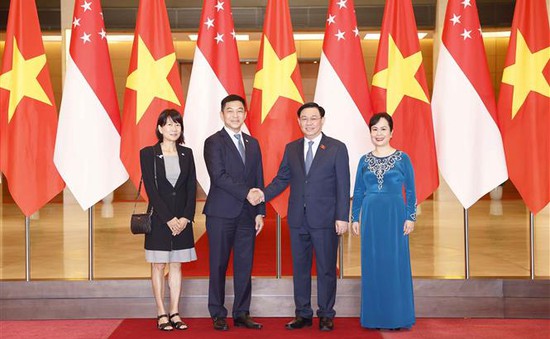 Việt Nam luôn coi trọng quan hệ Đối tác chiến lược Việt Nam - Singapore
