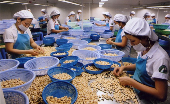 Vụ 100 container hạt điều: Bài học cho các nhà xuất khẩu Việt