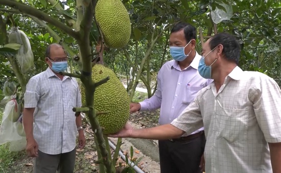 Giá nông sản phía Nam tăng trở lại