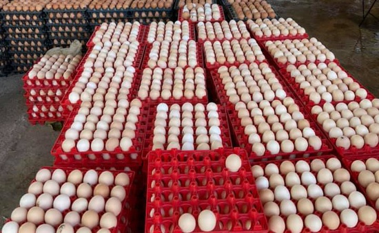 TP Hồ Chí Minh: Giá trứng gia cầm tăng vọt
