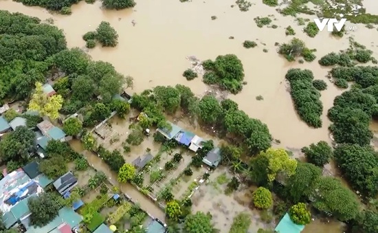 Nước lũ sông Hồng dâng cao, nông dân bãi giữa thiệt hại nặng