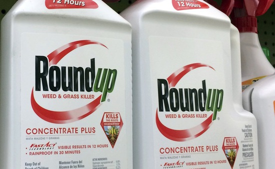 Bayer thắng vụ kiện thứ tư liên quan đến thuốc diệt cỏ Roundup ở Mỹ