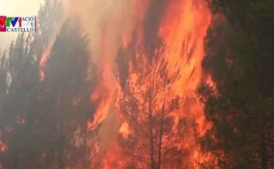 Cháy rừng nghiêm trọng tại Tây Ban Nha