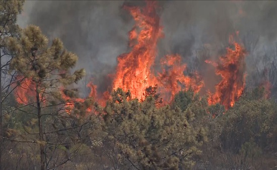 Nắng nóng thiêu đốt châu Âu, cháy rừng ở Bồ Đào Nha làm 29 người bị thương