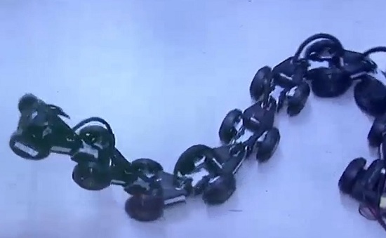 Robot hình rắn phục vụ cứu hộ