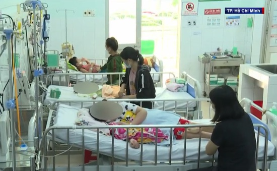 TP Hồ Chí Minh sẵn sàng phương án điều trị 6.000 ca bệnh sốt xuất huyết