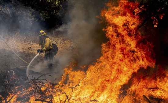 Hàng nghìn người phải sơ tán trong đám cháy rừng lớn nhất năm ở California
