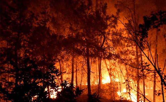 Hạn hán ở Anh, cháy rừng hoành hành tại Pháp trong đợt nắng nóng kéo dài