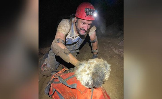 Cứu sống chú chó mất tích trong hang sâu 150 mét dưới lòng đất