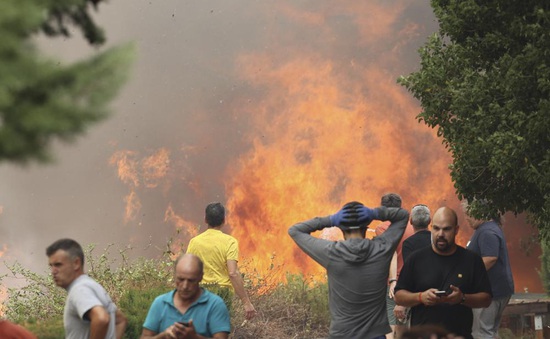Cháy rừng dữ dội tại Tây Ban Nha, hàng nghìn người phải sơ tán
