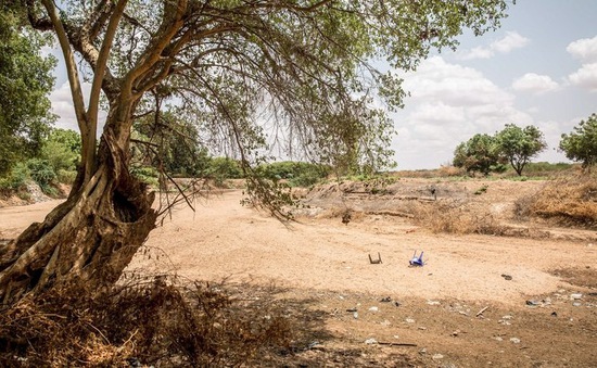 Vùng Sừng châu Phi trước mùa mưa khô hạn thứ 5 liên tiếp