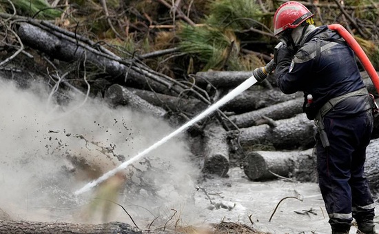 Pháp buộc tội tình nguyện viên cứu hỏa đốt phá gây cháy rừng