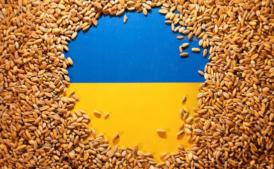LHQ kêu gọi tiếp tục giải phóng các kho chứa ngũ cốc ở Ukraine