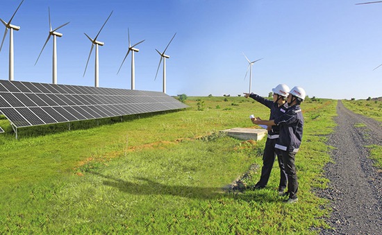 Điện gió Việt Nam hút nhà đầu tư ngoại