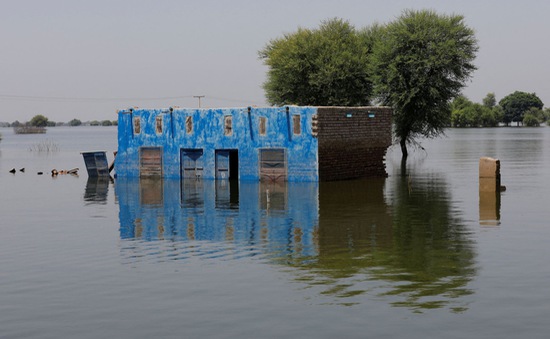 Số người thiệt mạng do lũ lụt ở Pakistan tăng lên gần 1.500