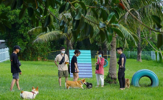 Công viên đầu tiên dành cho thú cưng tại Hà Nội