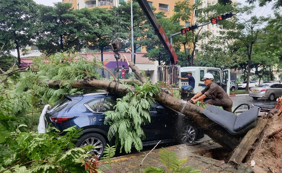 Hà Nội: Cơn mưa lớn khiến nhiều cây bị bật gốc, ngập úng một số tuyến phố