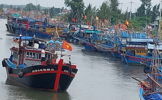 Ảnh: Neo đậu tàu cá gần khu vực cảng Sa Kỳ, Quảng Ngãi